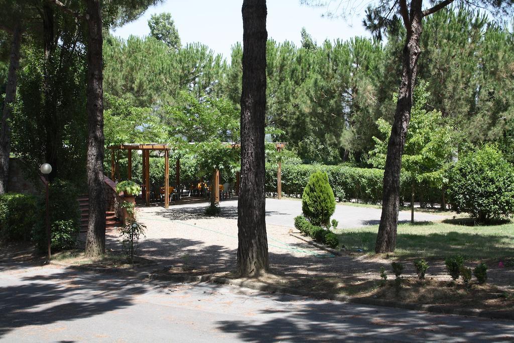 Hotel Ristorante Il Pino คิอูซี ภายนอก รูปภาพ